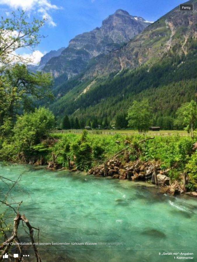 Haus Alpenrose Apartment Trins Bagian luar foto