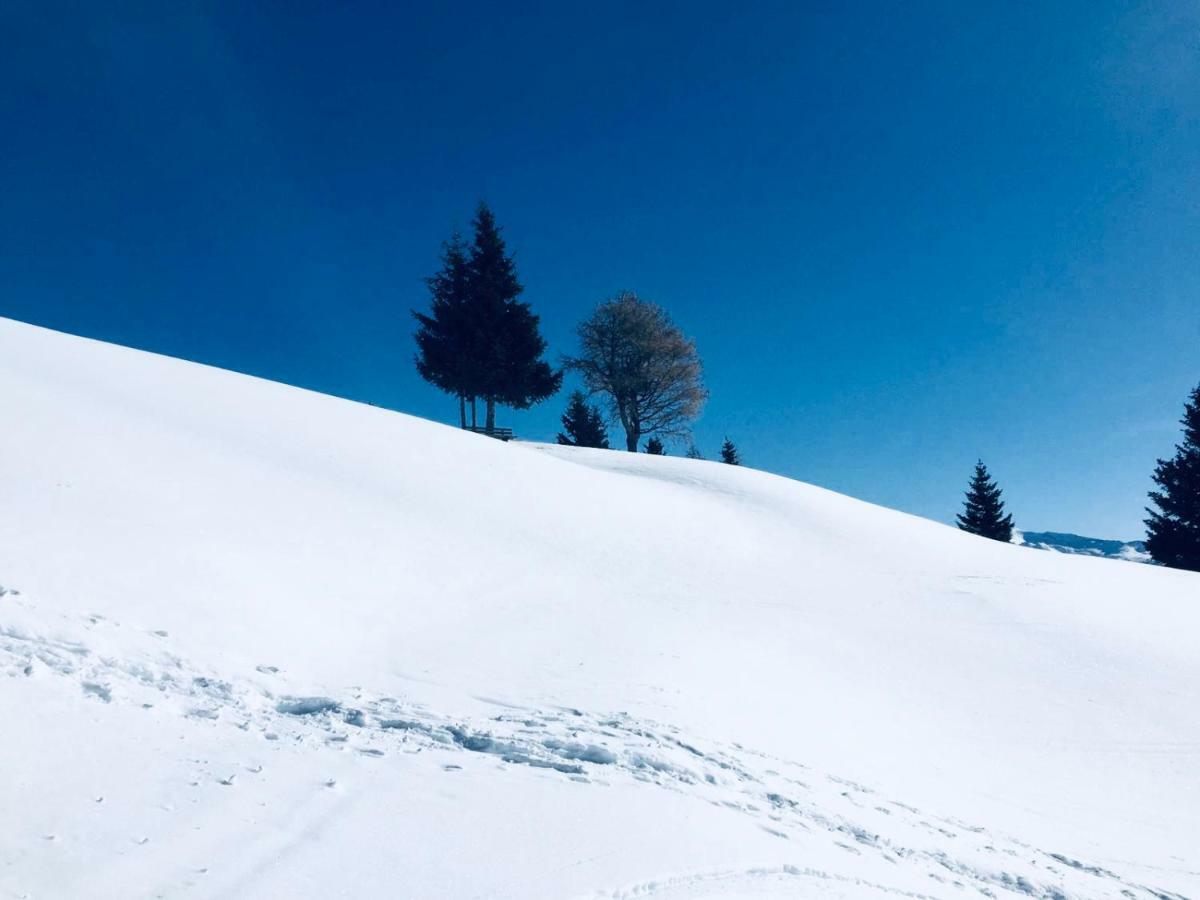 Haus Alpenrose Apartment Trins Bagian luar foto